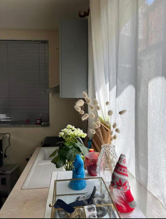 Brilant Studio Apartment City Center Tirana Buitenkant foto